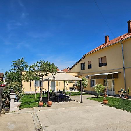 Apartments Kuca Aleksic II Nis Bagian luar foto