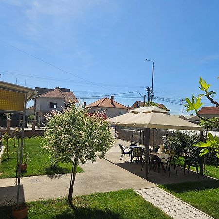 Apartments Kuca Aleksic II Nis Bagian luar foto