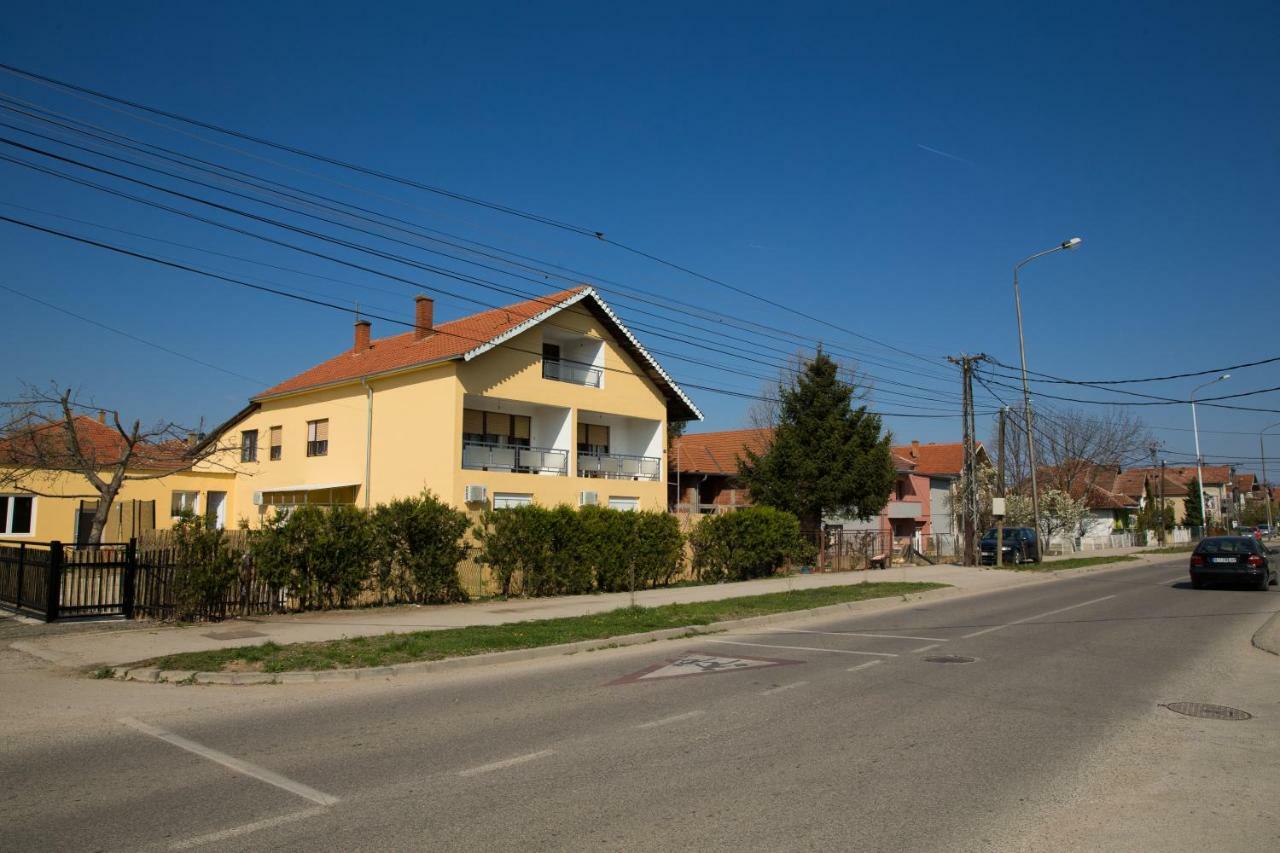 Apartments Kuca Aleksic II Nis Bagian luar foto